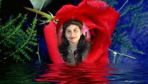 Romantic Urdu, Hindi Poetry | Vocal Asma Chaudhry