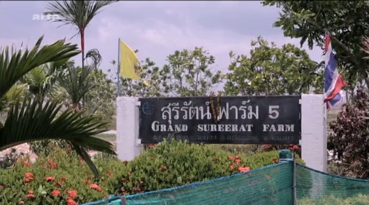 Die Bio-Illusion [1/2]