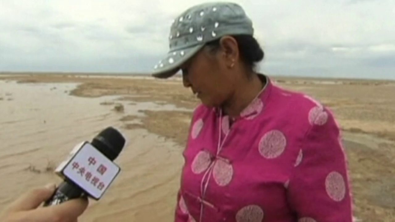 Living fossil found in China