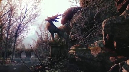 Dragon Age Inquisition Prophecy Epic Trailer