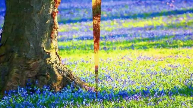 kardeş türküler, neşet ertaş - yanıyorum hele