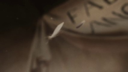 American Horror Story: Freak Show - Teaser #1: Fallen Angel