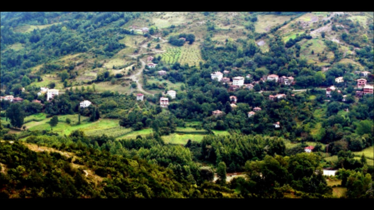 Gündoğan köyü/Cide-2009