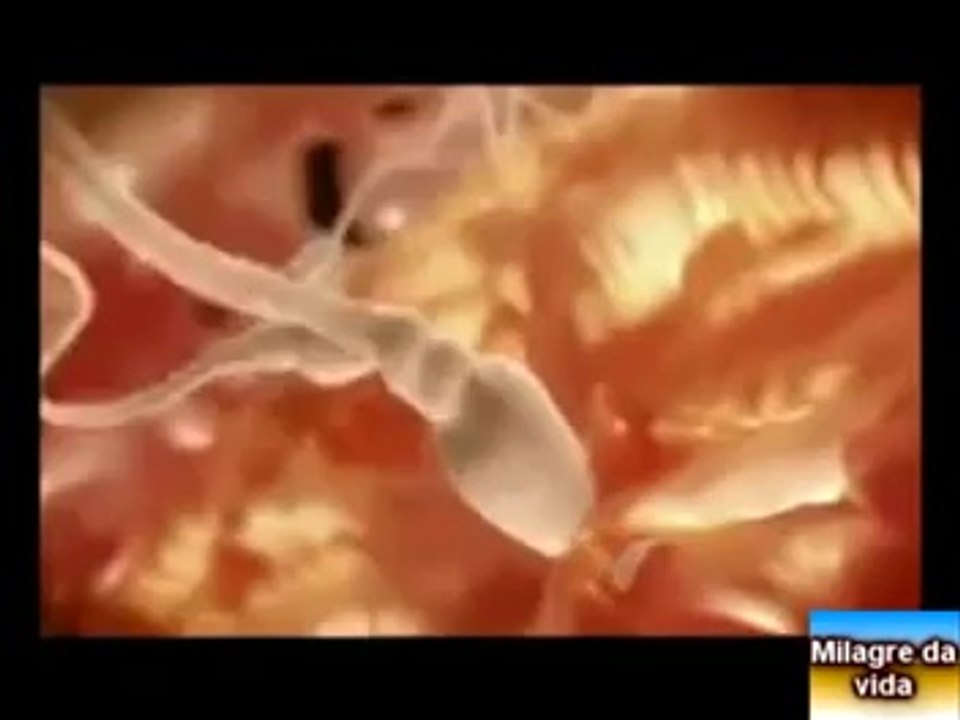 Uma viagem excepcional do espermatozoide
