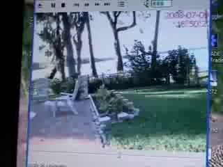 Coboki  for sale  in Pakistan call: 0302-9222466