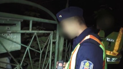 Tolvajkergetők II. 9. Hová tűnt Tigris?