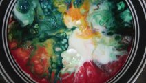 Magic Milk and Food Coloring - Science Project