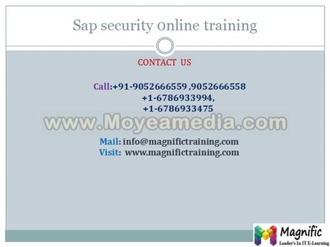 sap security online training tutorial,classes,free server access chennai,pune,hyderbad