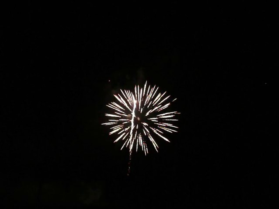 ALAMEDA COUNTY FAIR 2014. 41