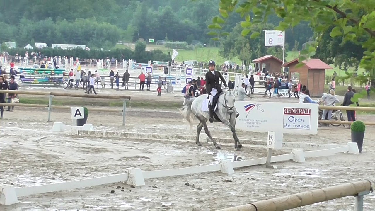 Ushaz Ponthouar et Cassy - Dressage D2P GP - Open de France 2014