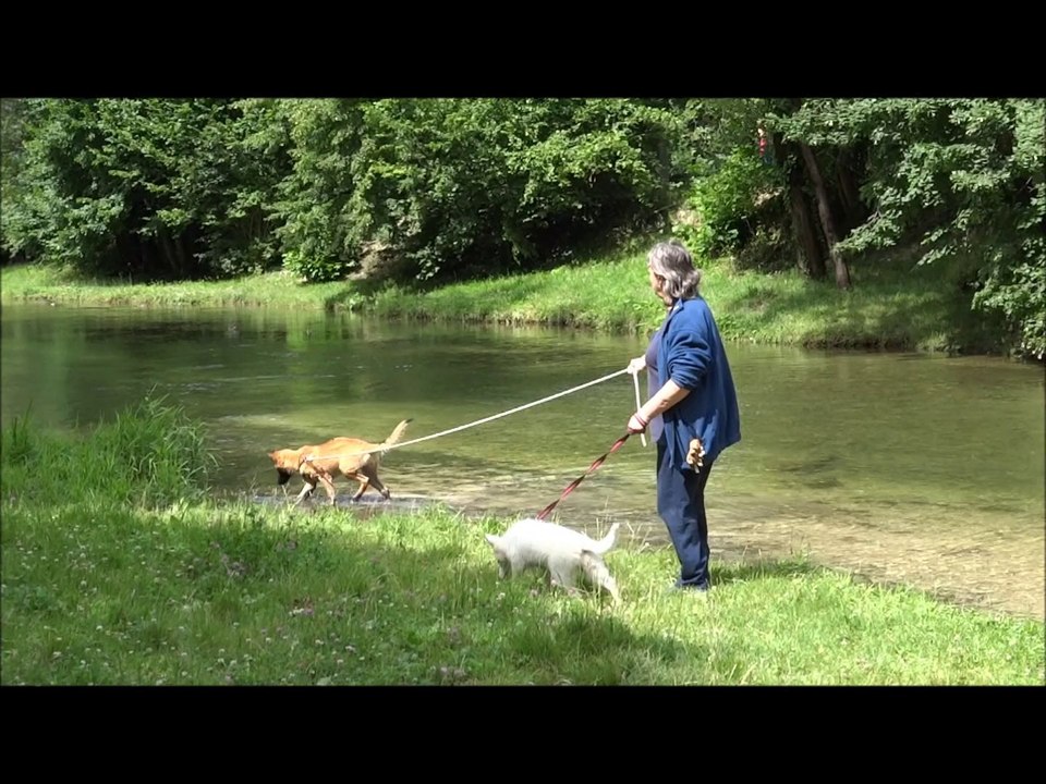 PLOUF DANS LE FURON, Juillet 2014