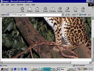 Html5 Tutorial 7-1 in Urdu-hindi Balochi &Bravhi shaikof baloch www.shaigle.com