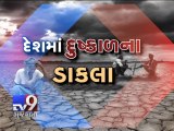 Delayed monsoon spells trouble for cotton - Tv9 Gujarati