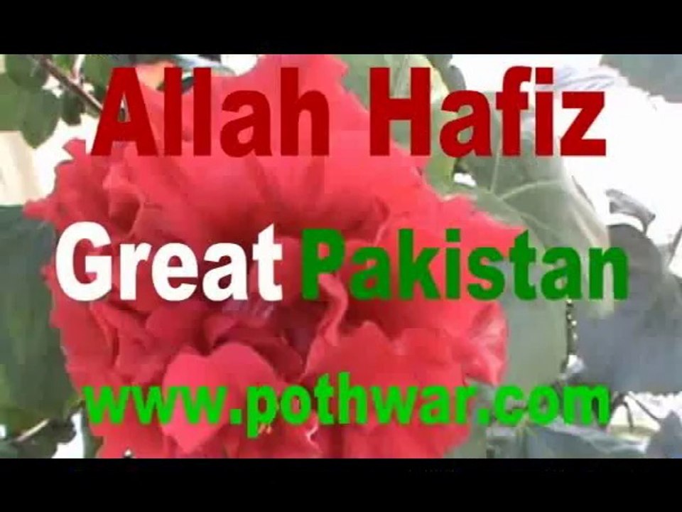 NAAT