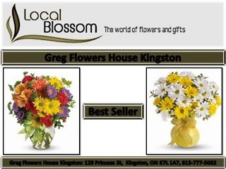 Greg Flowers House Kingston