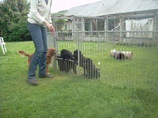 14 juillet 2014 : 5.5 semaines