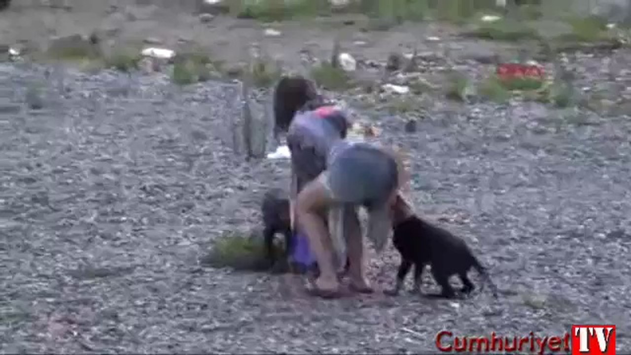 Yavru köpekler küçük kızın peşini bırakmadı