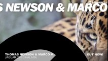 Thomas Newson   Marco V - Jaguar (Original Mix) - YouTube1