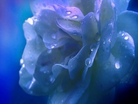 A.S. & F.A - Лунная соната ( A.S. & F.A -Moonlight Sonata )