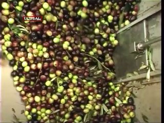 Ziraat Mühendisleri: Yasayı geri çekin!