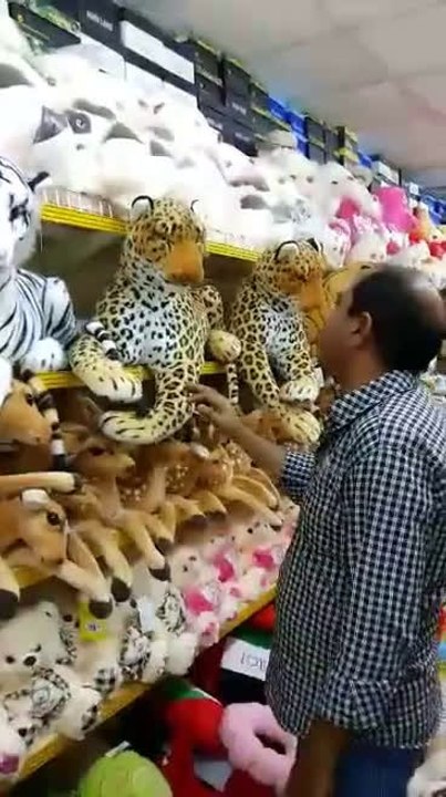 10496856_10154510779070314_593060501_n.mp4