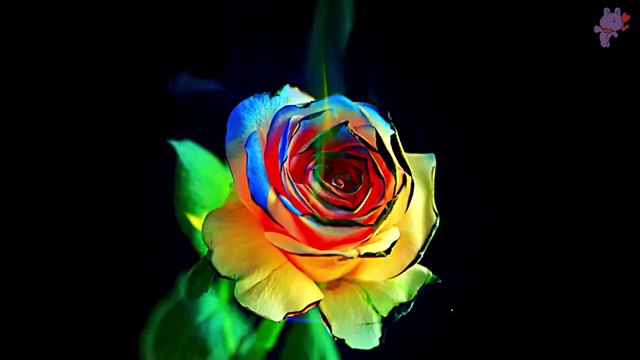 [SUB ESP] MV NU'EST Good Bye Bye (color coded + hangul + romanized)