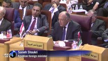 Arab League denounces Israeli 'war crimes'
