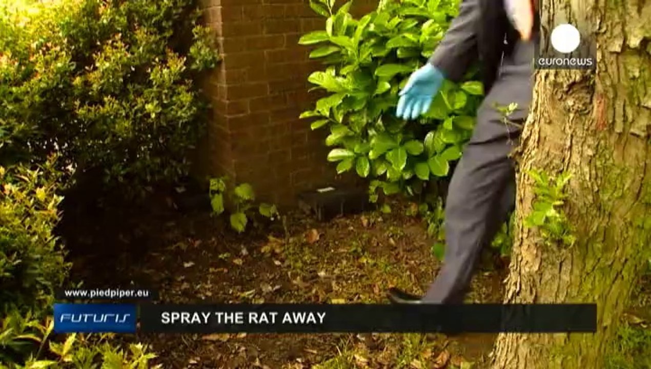 Spray the rats away