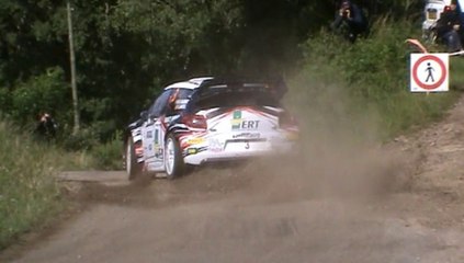 rallye du Rouergue 2014 show, limit and mistakes