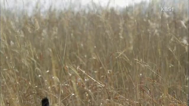 전주유흥마트『구경』해운대구마사지、UHMART.net ⁴₃광주마사지∞신중동마사지∞