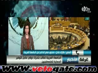 .مندوب مصر بالجامعة العربية: قرار موحد للمجلس مساء اليوم