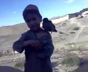 بچے اور پرندے کی محبت دیکھیں
