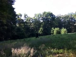 REAL BIGFOOT FOOTAGE FROM AFRICA