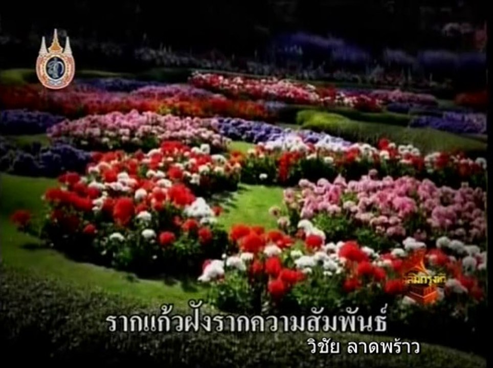 ไม้ขีดชื้น