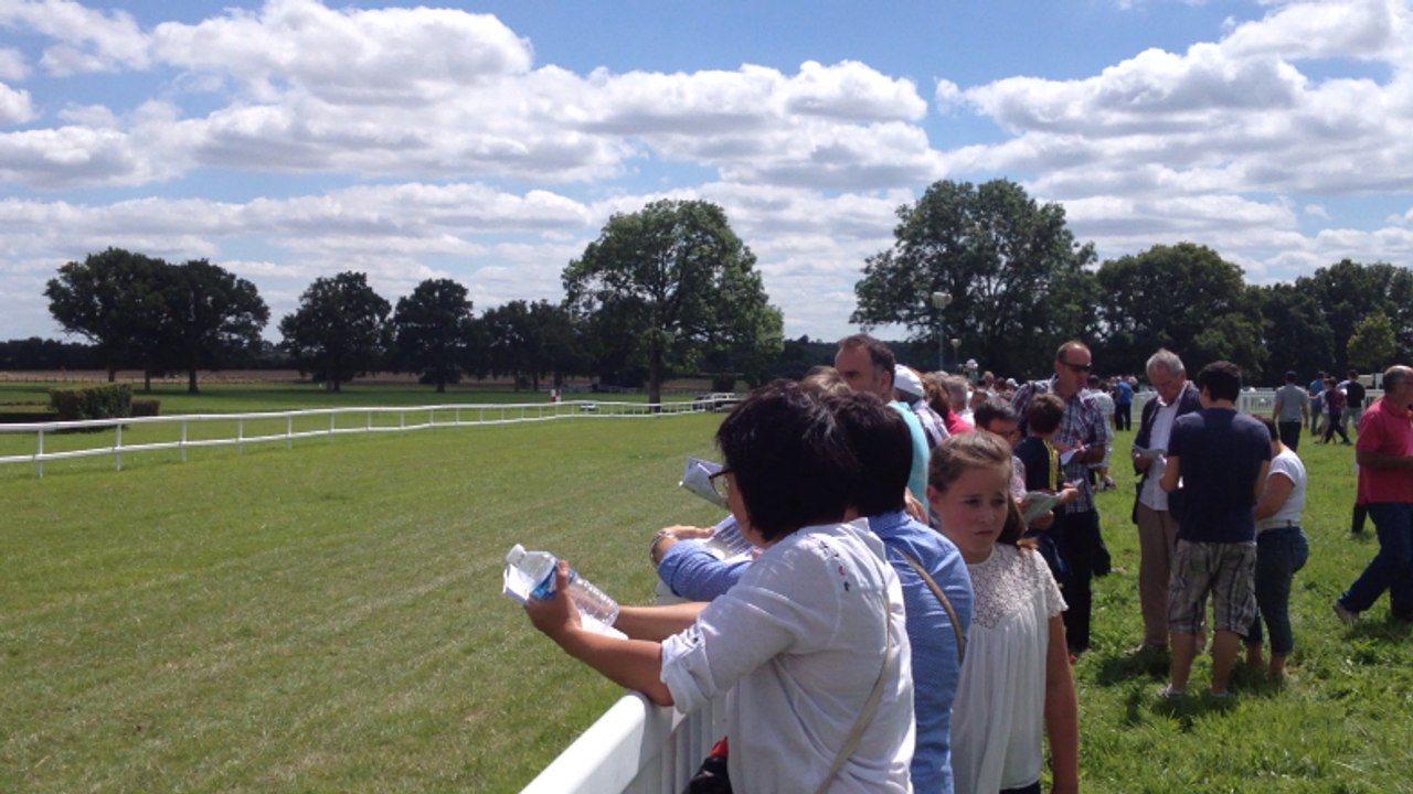 Courses de Molières