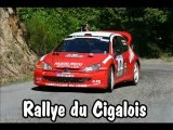 Rallye du Cigalois 2006
