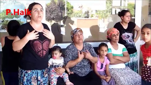 Pamukova da Bonzai İsyanı