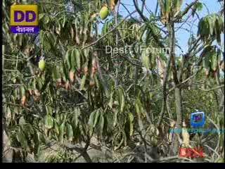 Gaon Connection 14th July 2014 Video Watch Online