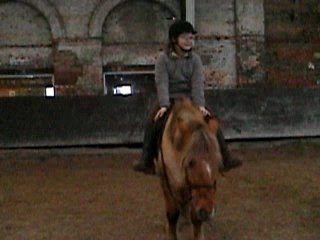 Ragout Toutou sur Fidji