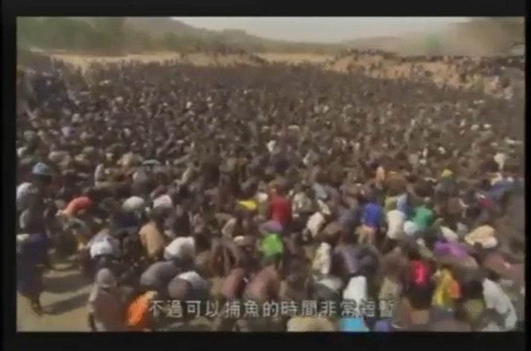 Como Pescar No Deserto
