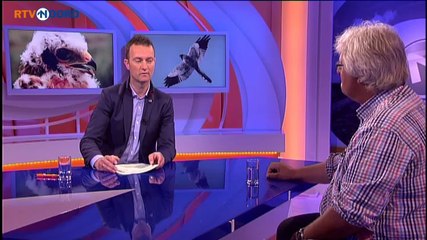 Alle vier de kiekendiefjongen nog in blakende gezondheid. - RTV Noord