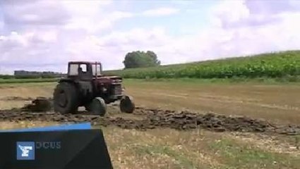 Avec son tracteur, il transforme un champ en coupe du monde géante