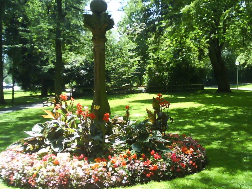 concert de Still du 29-06-2014 7 pièces