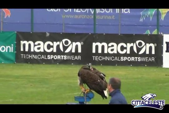 OLYMPIA SCENDE DAL MONTE AGUDO 14 LUGLIO AURONZO SS LAZIO 2014