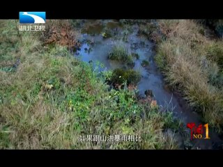 20131228 中国NO.1 20131228