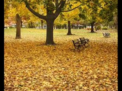 YILDIZ DEMİRKOL SAVAŞ-yıldızlıtürküler-BÜTÜN DÜNYA SENİN OLSUN