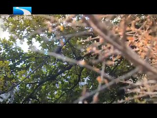 20130413 中国NO.1 敬礼班长