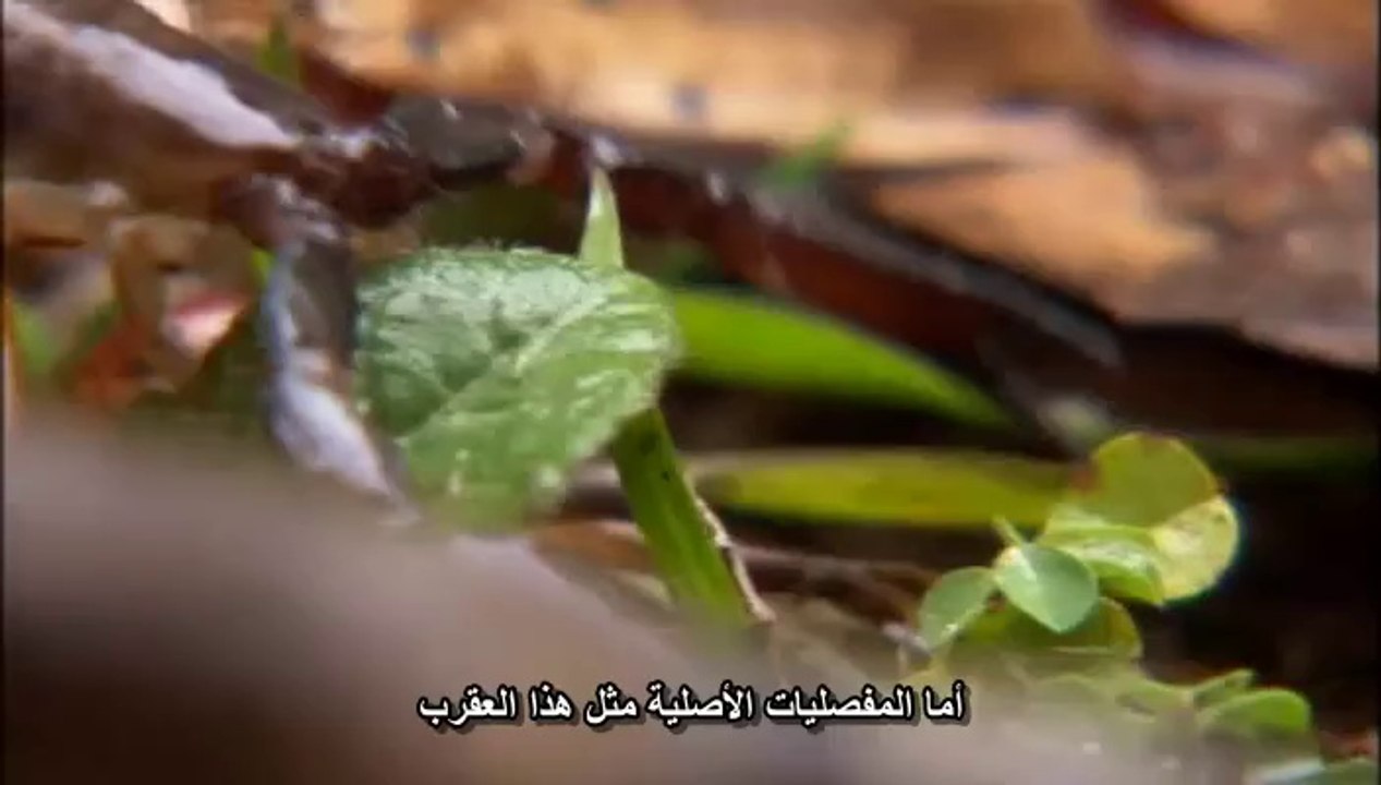 الحياة الأولى - الحلقة 2