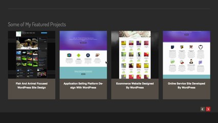 WordPres Theme Installation Services