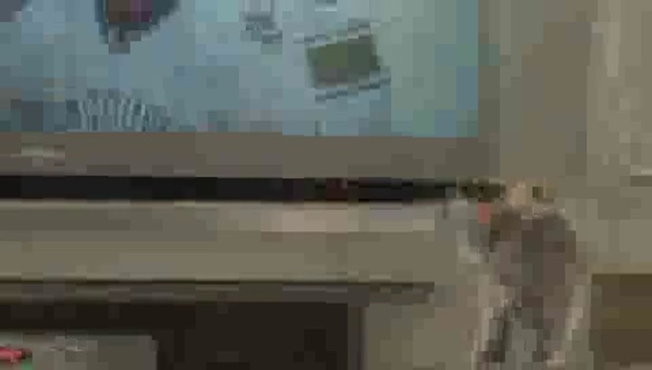 Kitten Watching Hockey(ipad)
